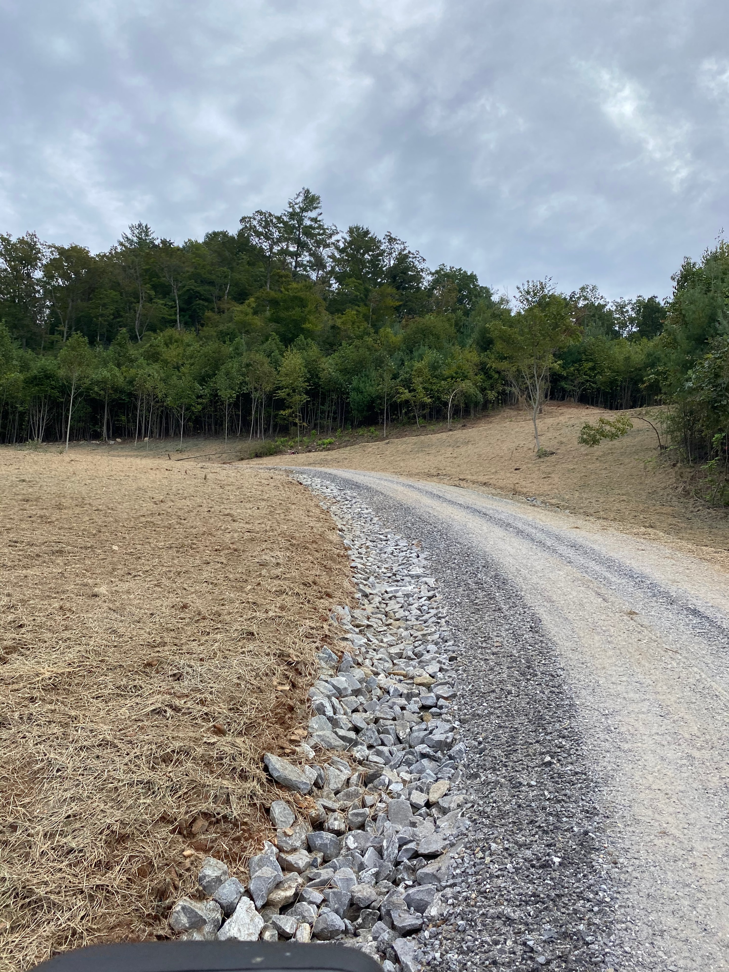 Gravel road through cleared forest land