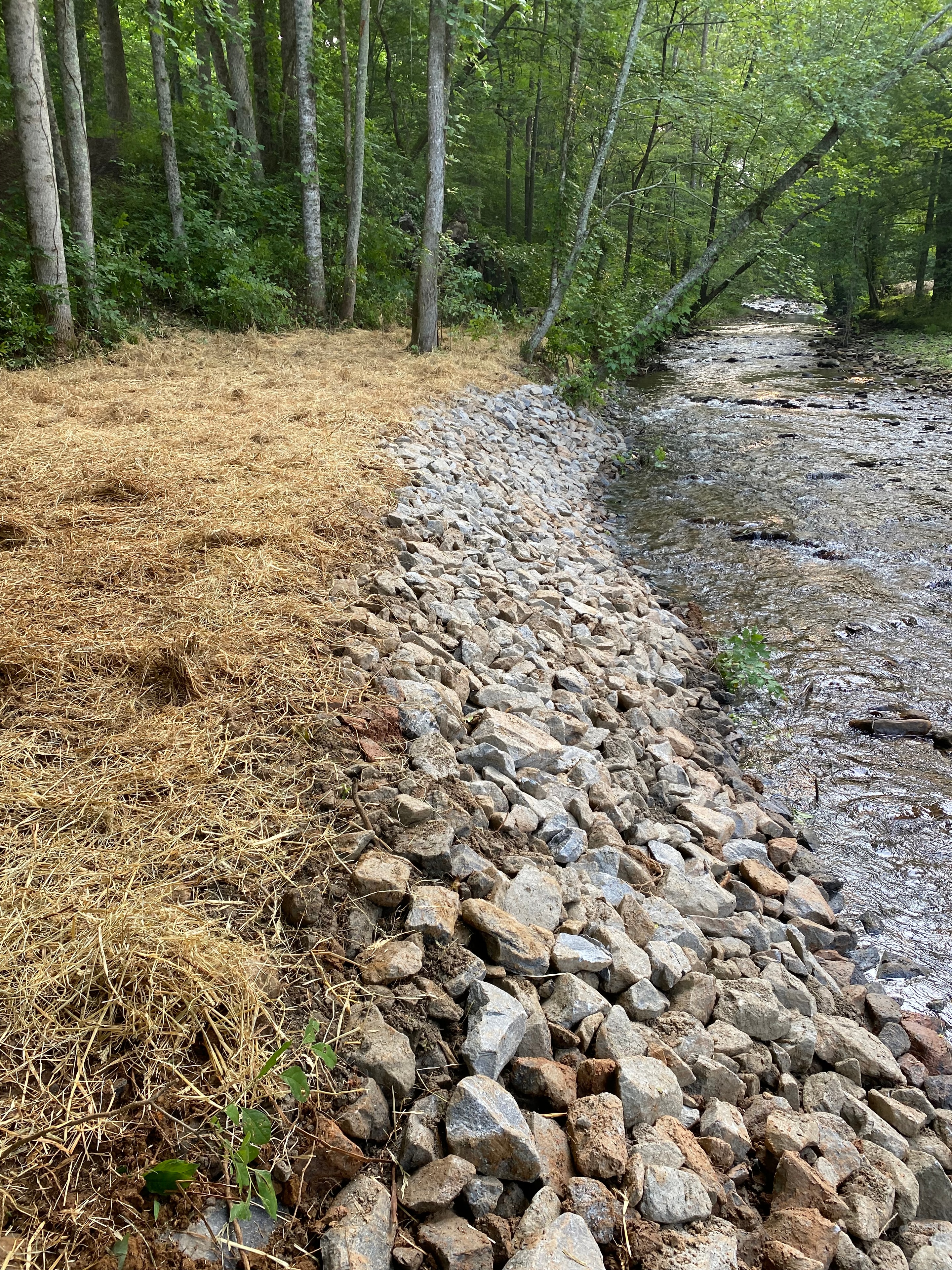 Forest stream with rocky bank erosion control