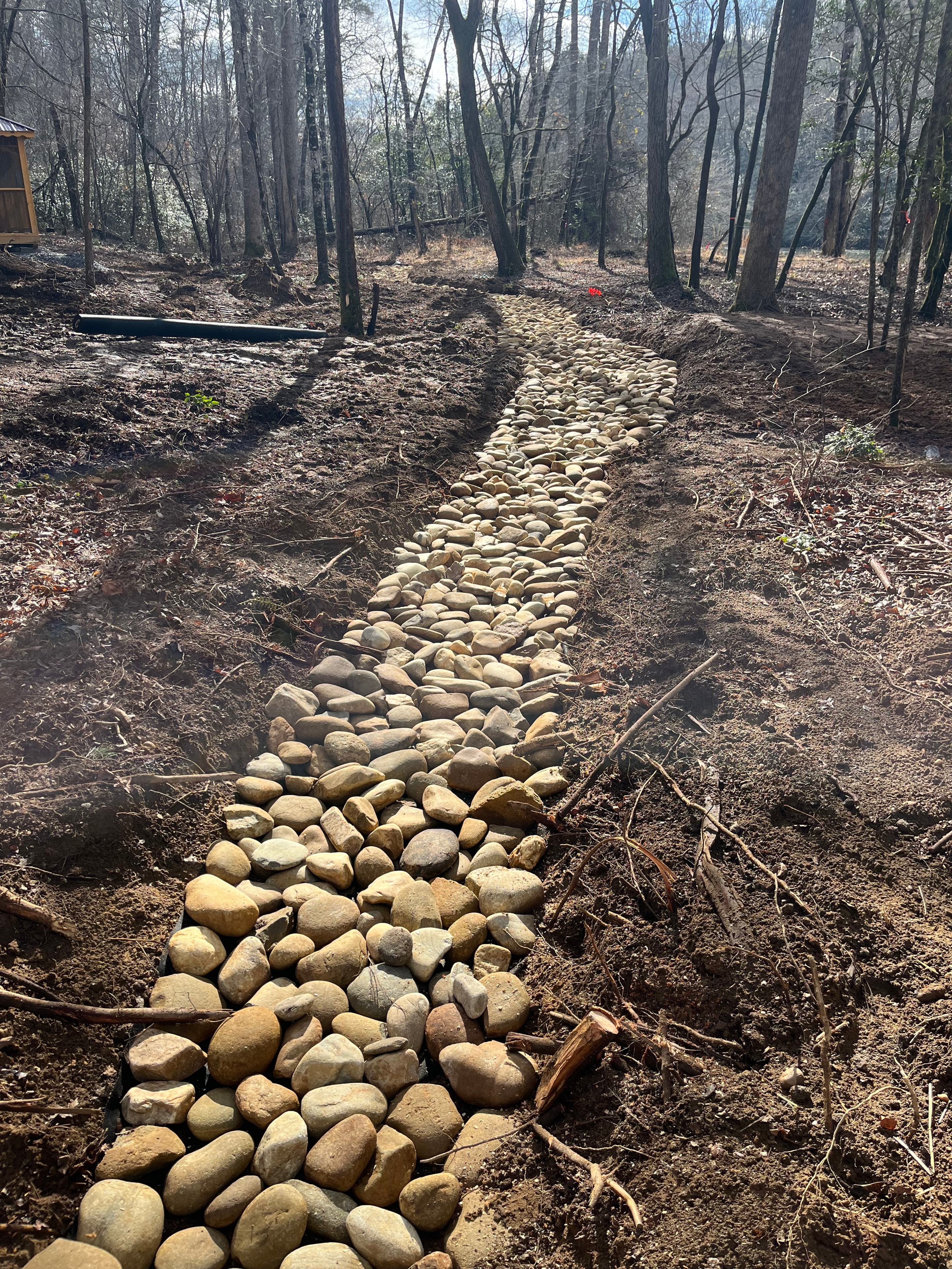 Stone pathway through bare forest
